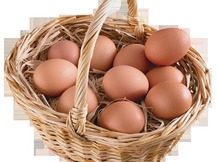 Яйцо куриное ООО "Кредо"