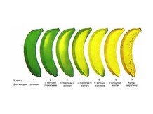 Бананы Artes