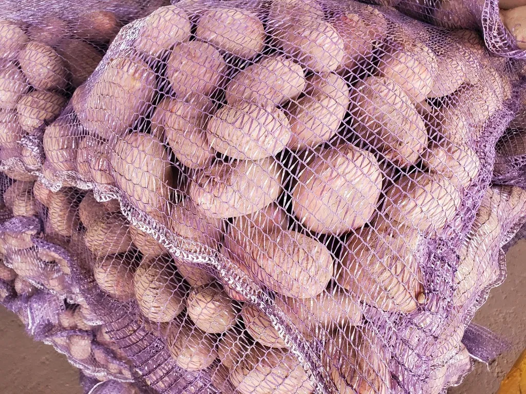 Фотография продукта Картофель оптом из Брянской области