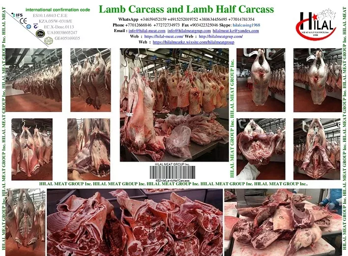 lamb 6 cuts в Казахстане 2