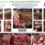 lamb 6 cuts в Казахстане 2