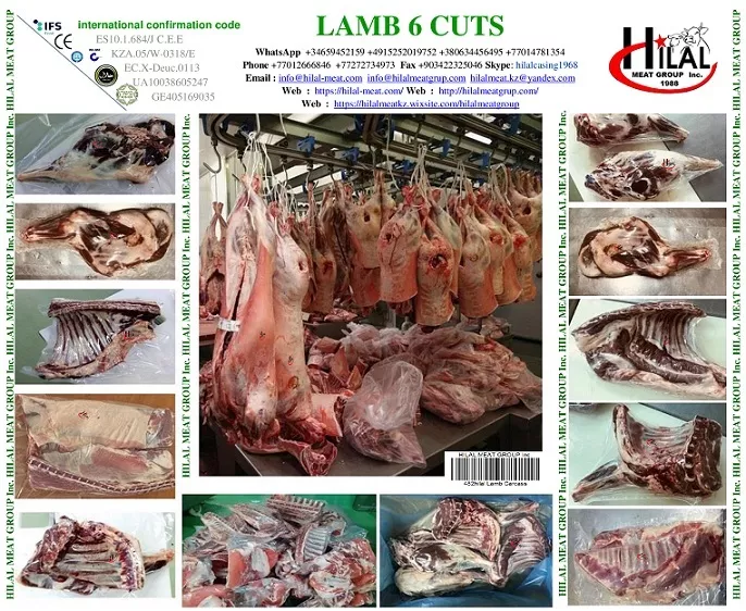 Фотография продукта Lamb 6 cuts
