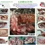 lamb 6 cuts в Казахстане