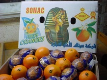 Апельсины Atteya-Sonac