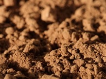 Какао-порошок алкализованный ООО  "ТСК"