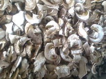 Сушёные грибы