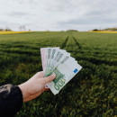 Белорусские предприятия в полтора раза увеличили закупки сельхозпродукции на БУТБ