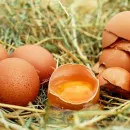 Жидкие веганские яйца из бобов люпина сделали в Канаде