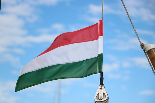 Товарооборот аграрной продукции между Россией и Венгрией вырос на 17% в 2021 году 