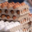 В России продолжили снижаться цены на яйца и свинину