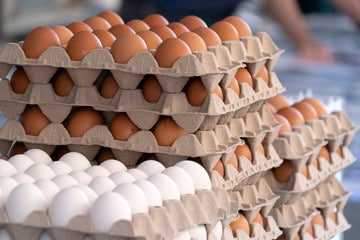 В России продолжили снижаться цены на яйца и свинину