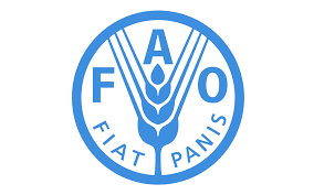 ФАО призвала правительства стран мира отказываться от продовольственных ограничений