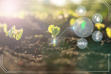 РСХБ оценил самообеспеченность Калининградской области продукцией АПК