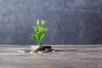 Минсельхоз одобрил льготные краткосрочные кредиты ивановским аграриям на 1,9 млрд рублей