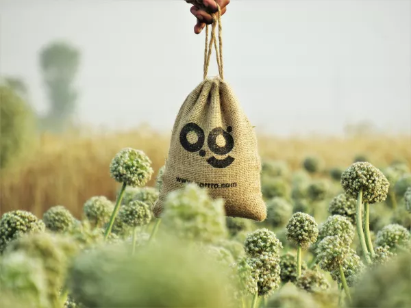 На поддержку АПК Ставрополья в ноябре 2022 года направят около ₽1 млрд