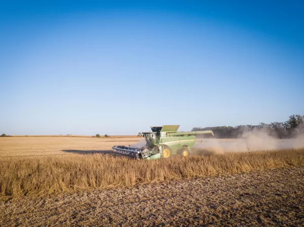 Что ждет тюменский АПК: курс на зерно, крупнейший комбинат и льготы