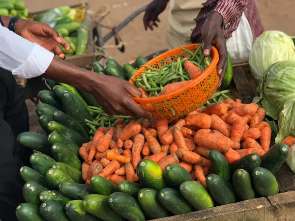 Нигерия объявила чрезвычайное положение из-за роста цен на продукты