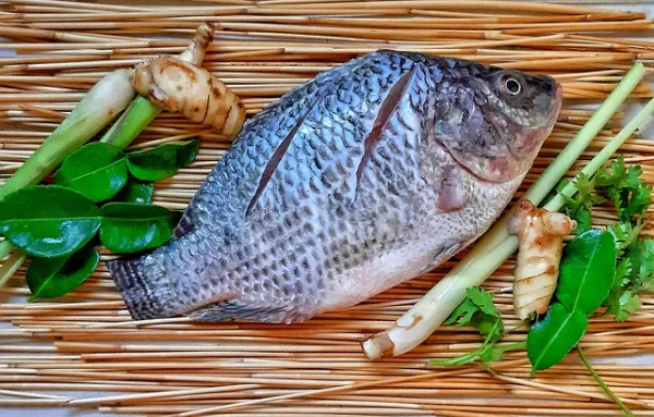 Экспорт рыбной продукции увеличился на 3% во втором квартале года