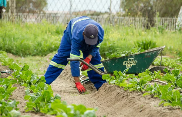 Valeurs actuelles: французские фермеры сворачивают органическое земледелие из-за убыточности