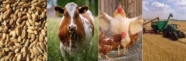 Rabobank Global Animal Protein Outlook