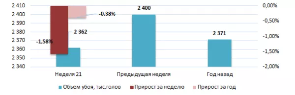 США: Обзор рынка свиней за 21 неделю от 26 мая 2025 года