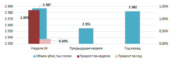 США: Обзор рынка свиней за 24 неделю от 16 июня 2025 года