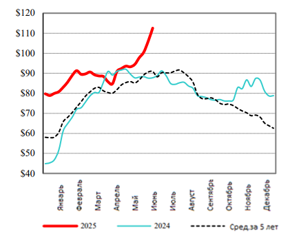 США: Обзор рынка свиней за 26 неделю от 30 июня 2025 года