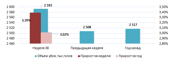 США: Обзор рынка свиней за 38 неделю от 22 сентября 2025 года