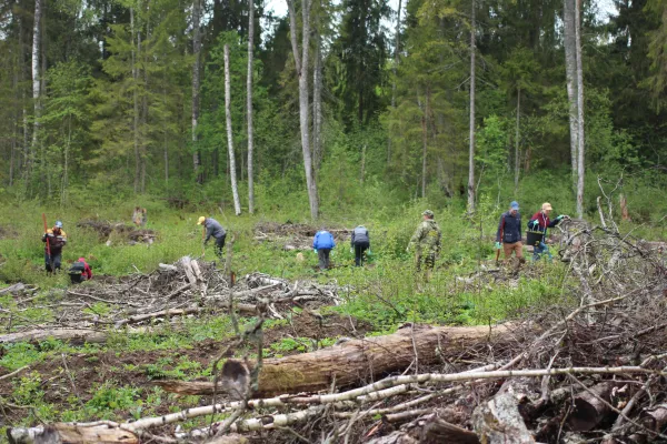 Углеродный след компании «Инлайн»: оценка за 2025 год