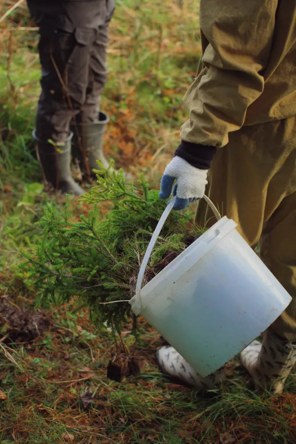 Фотография продукта 