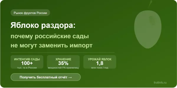 Яблоко раздора: почему российские сады не могут заменить импорт