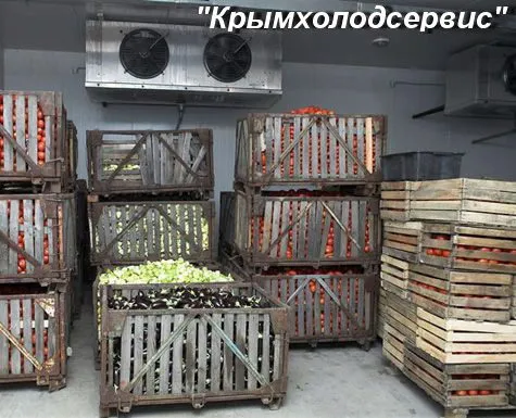 Фотография продукта Фруктохранилище под ключ.Крым