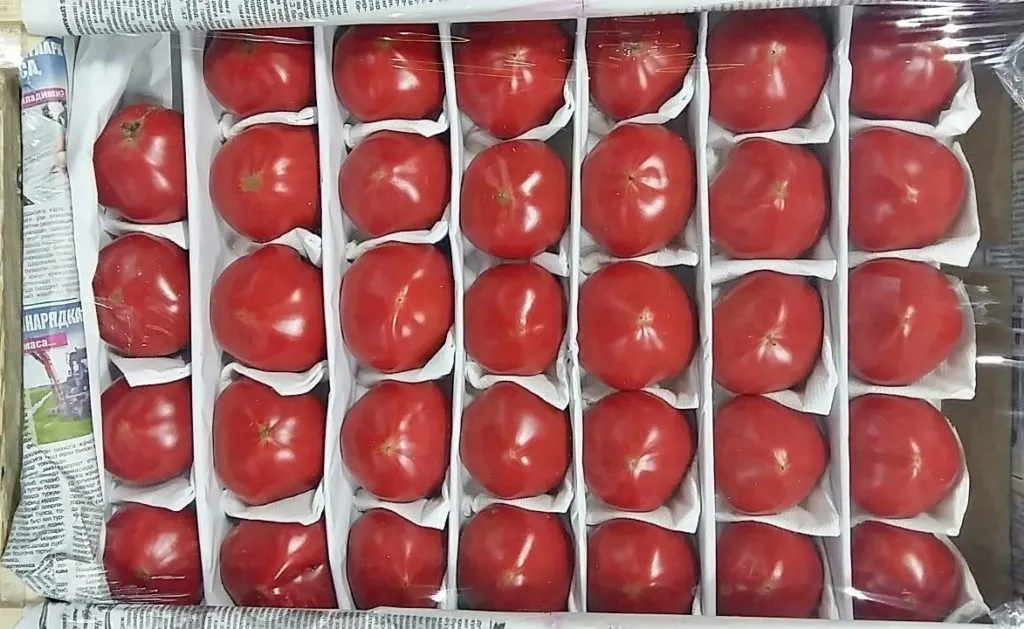 Фотография продукта томаты оптом от 20 тонн