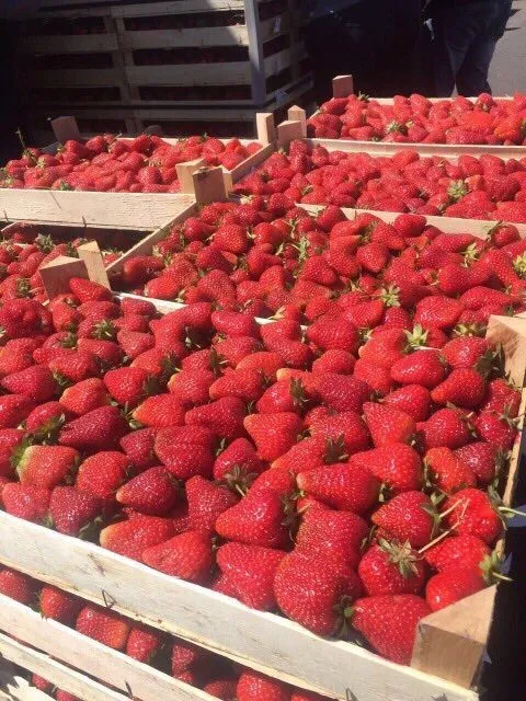Фотография продукта Клубника из Сербии