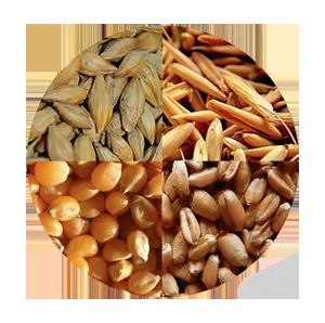 Фотография продукта пшеница