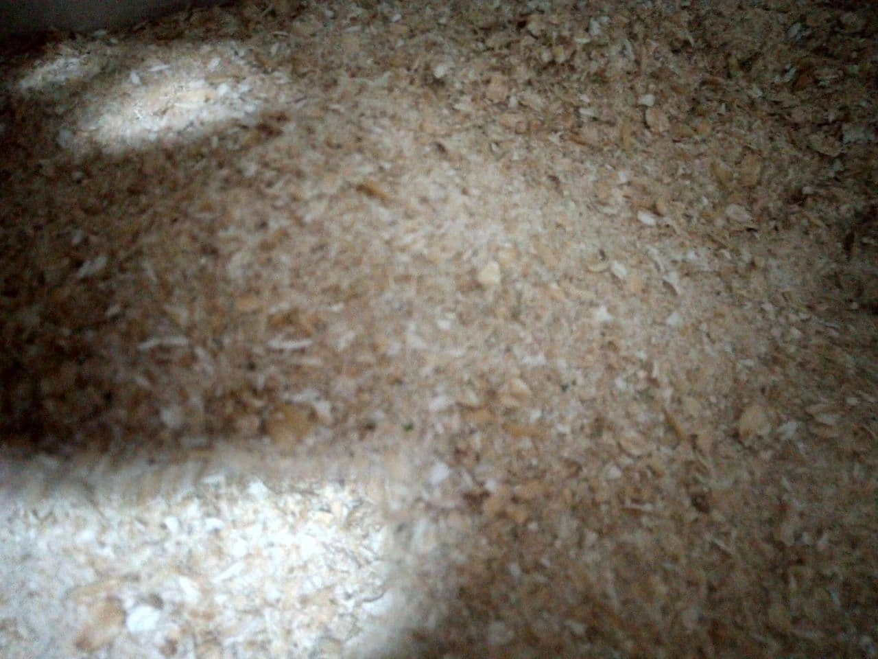 Фотография продукта Отруби овсяные пшеничные от 33 руб./кг