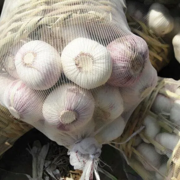 Фотография продукта Чеснок свежий