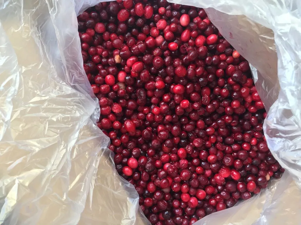 Фотография продукта Клюква дикая замороженная (россия)