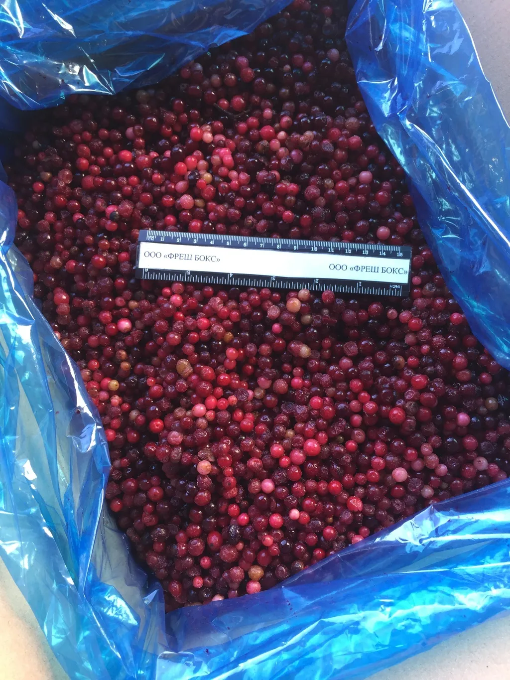 Фотография продукта Брусника дикая замороженная (россия)