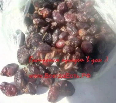 Фотография продукта Шиповник плоды сухие от 297 руб./кг
