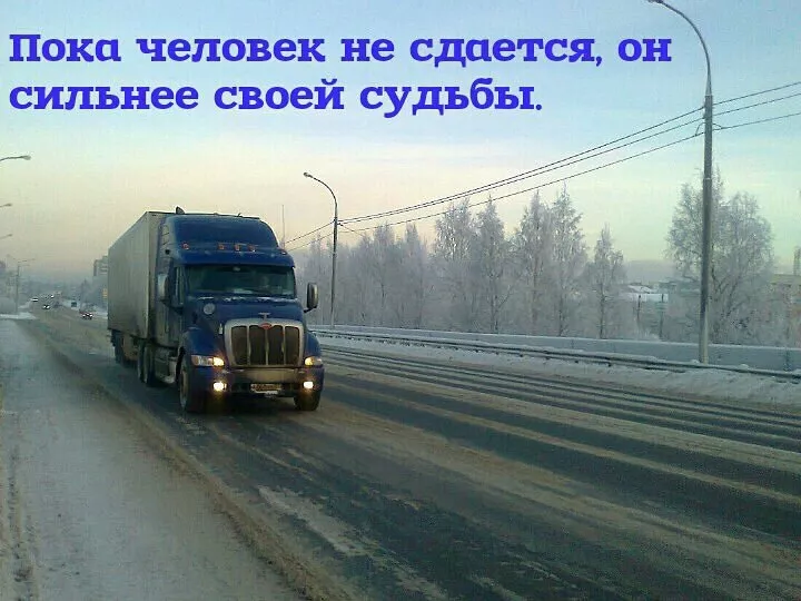 Фотография продукта Логичная-логистика 