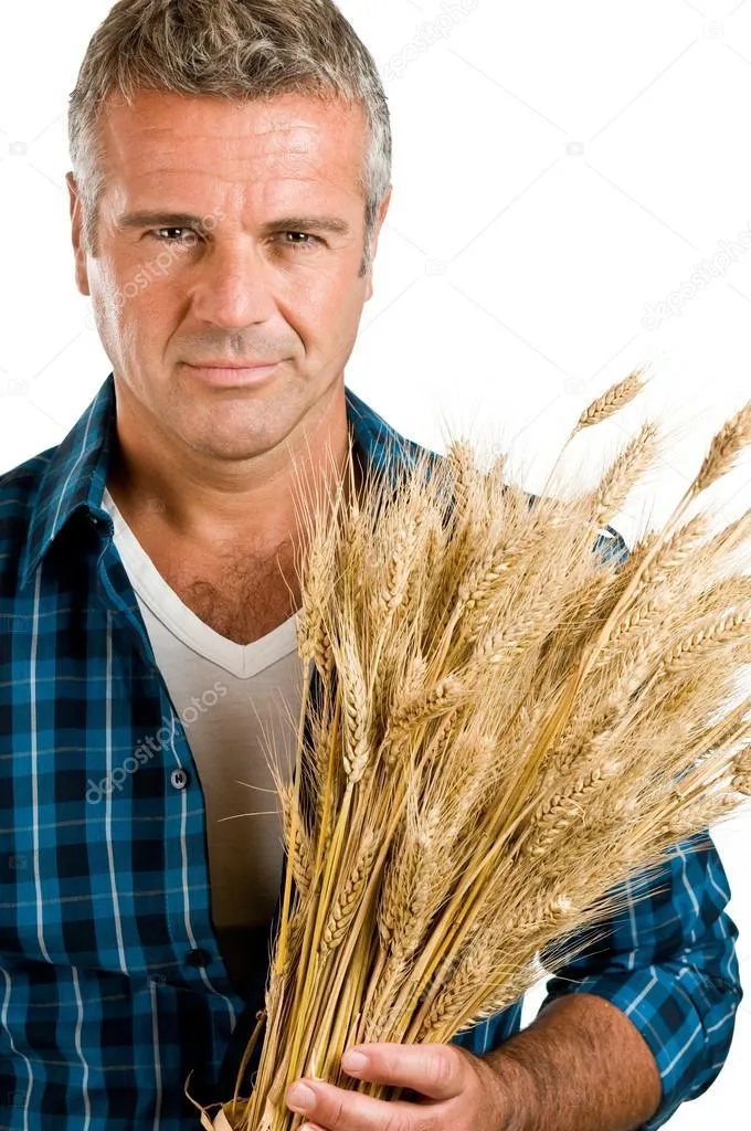 Фотография продукта  Продажа пшеницы, ячменя.рожь, овес. 