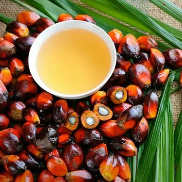 Фотография продукта Пальмовый олеин