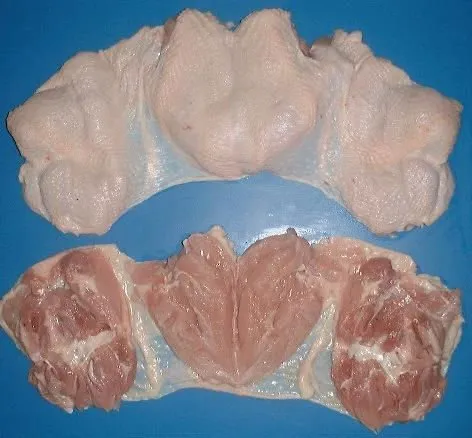 Фотография продукта Мясо курицы для шаурмы грудка  , окорок
