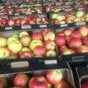 яблоки красные и зеленые в Воронеже