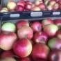 яблоки красные и зеленые в Воронеже 6