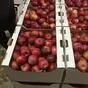 яблоки красные и зеленые в Воронеже 3