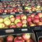 яблоки красные и зеленые в Воронеже 4