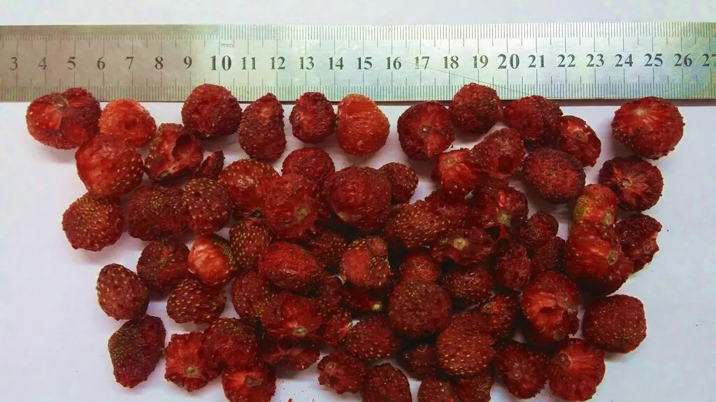 Фотография продукта Сублимированные ягоды от производителя