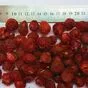 сублимированные ягоды от производителя в Киргизии